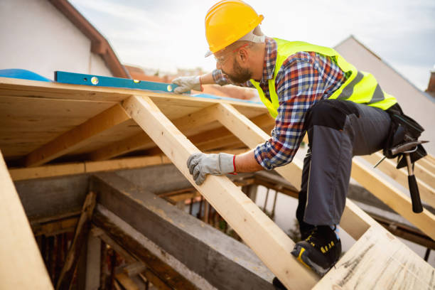 Best Gutter Installation and Roofing  in Buffalo, MN