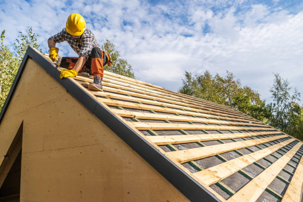 Best Metal Roofing Contractor  in Buffalo, MN