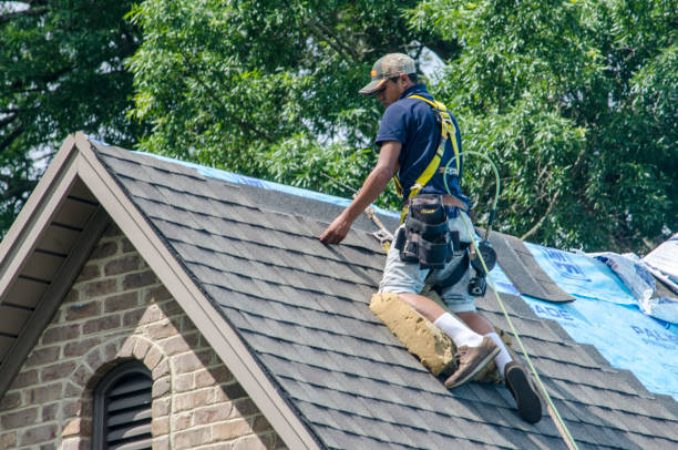 Best Roof Gutter Cleaning  in Buffalo, MN